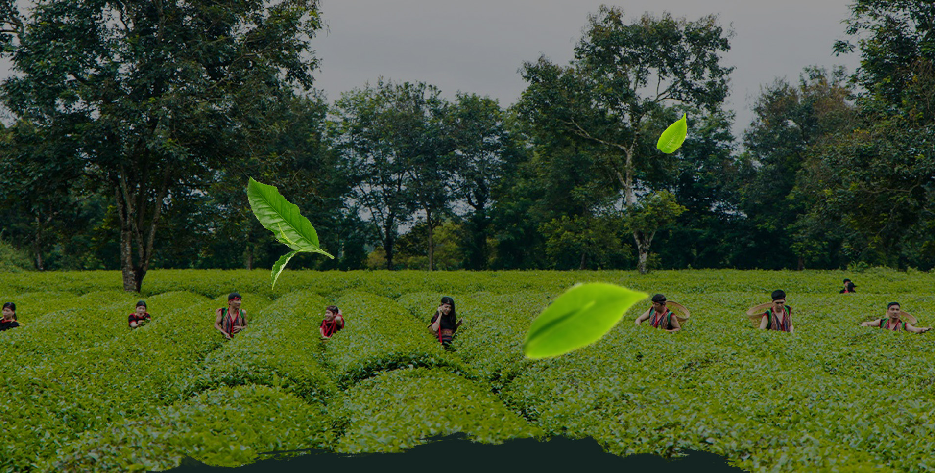 Cho cuộc sống cân bằng