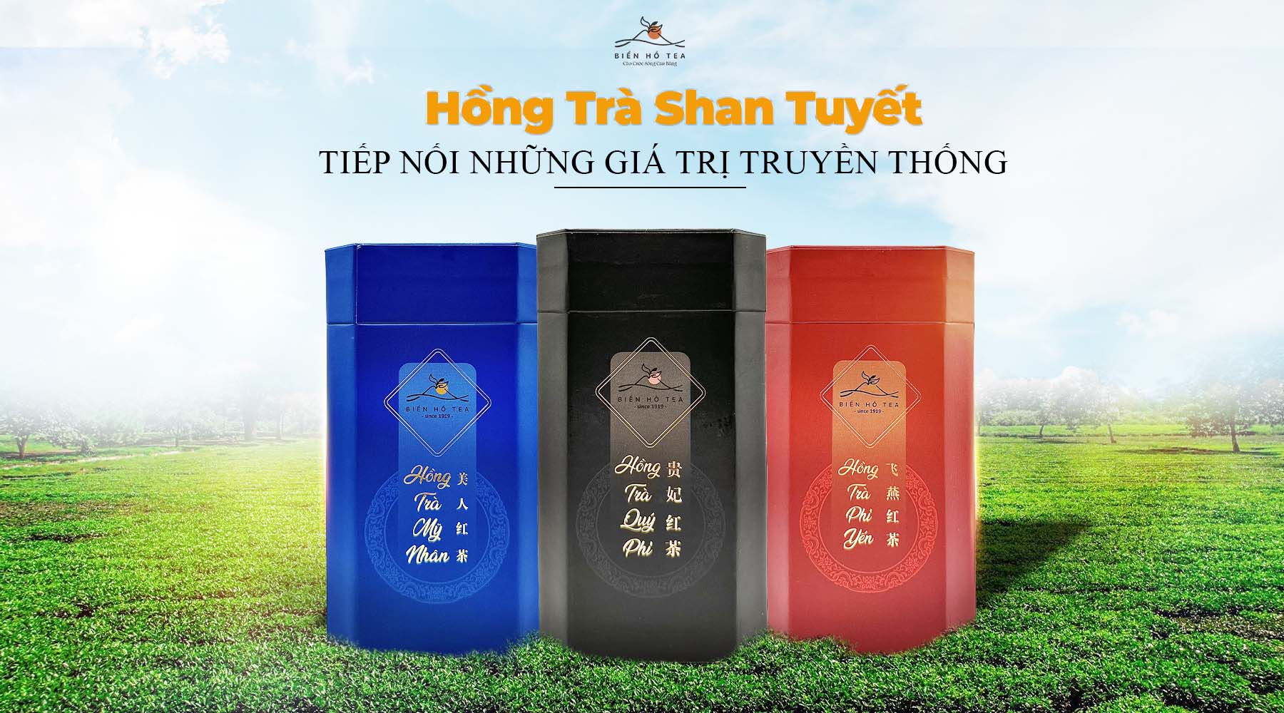 Điều lệ và quy chế công ty
