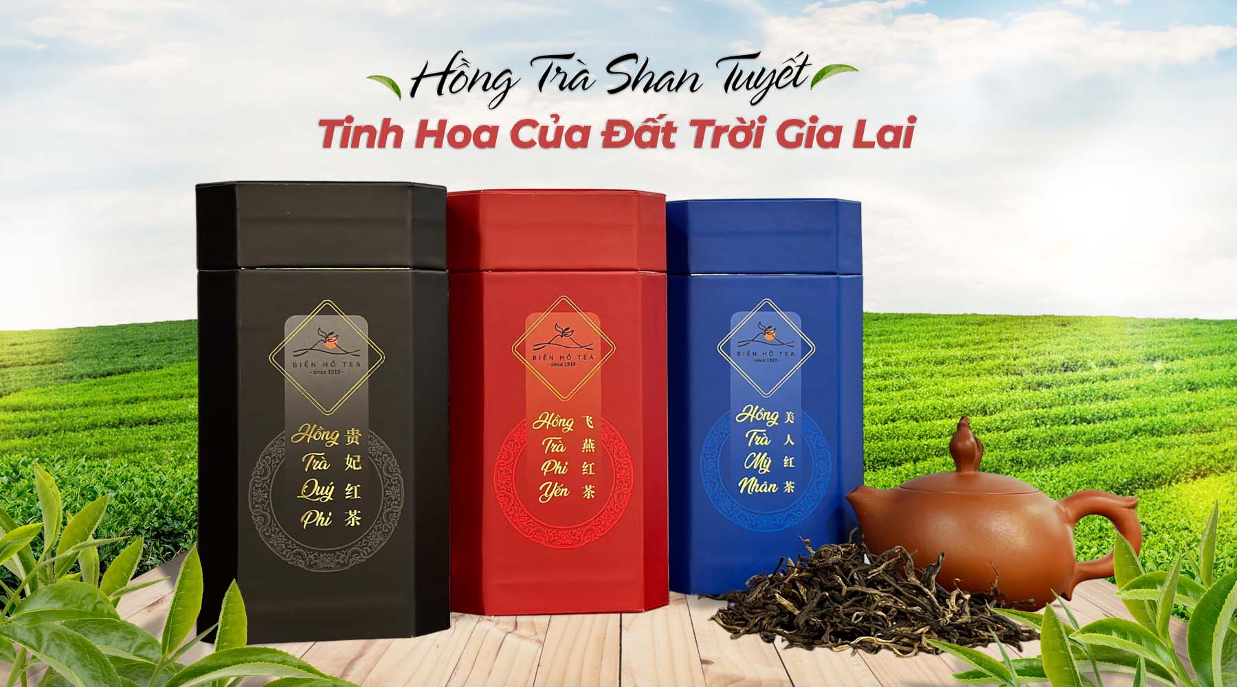 Báo cáo tình hình quản trị
