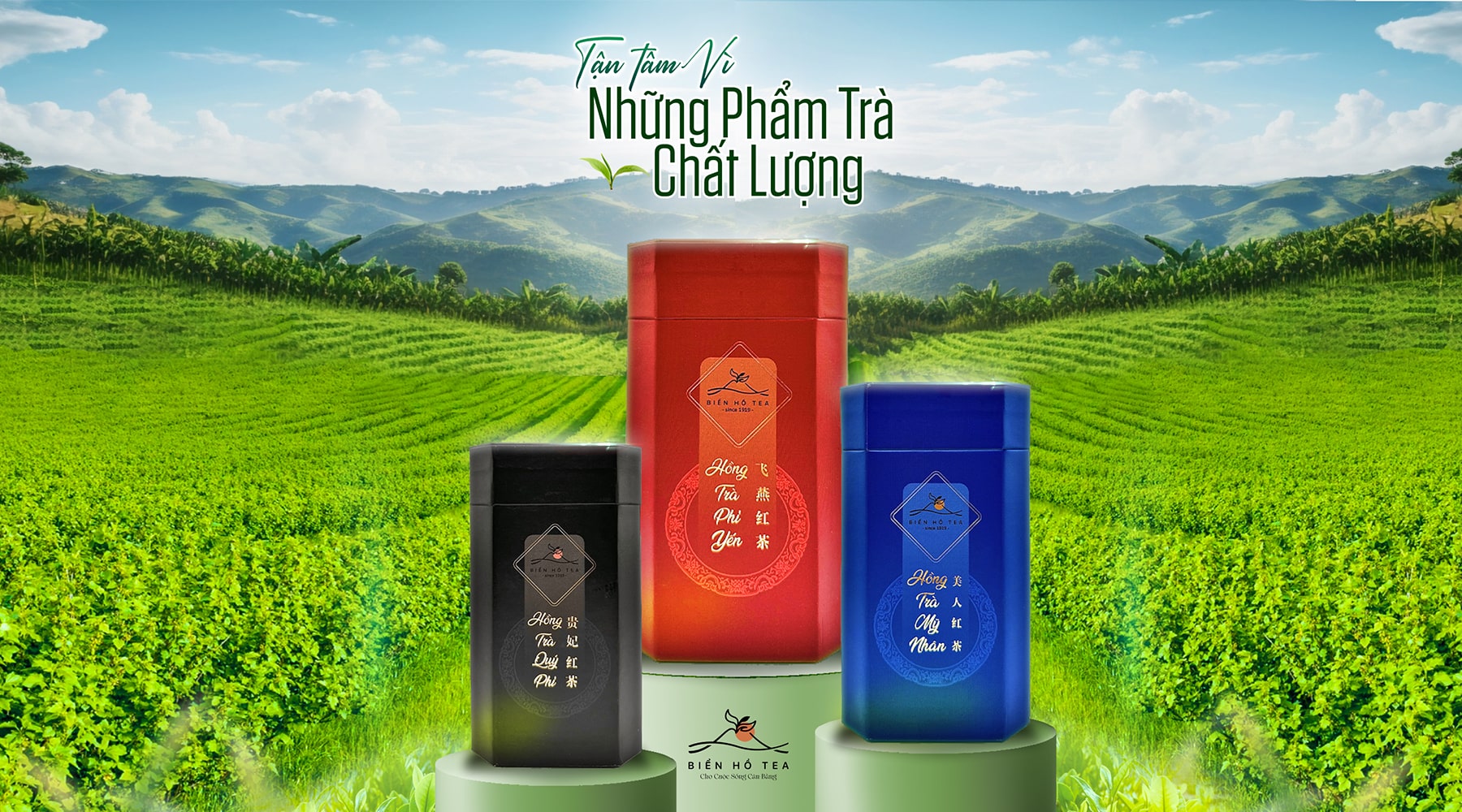 Đại hội đồng cổ đông thường niên