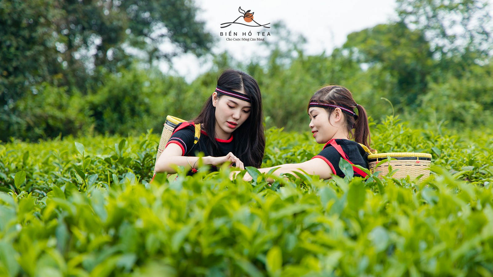 Cảm nhận sự khác biệt từ những hương vị đầu tiên