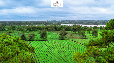 NGHỊ QUYẾT HĐQT VỀ ĐIỀU CHỈNH KẾ HOẠCH SẢN XUẤT KINH DOANH NĂM 2021