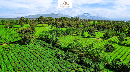 NQ HĐQT VỀ VIỆC BỔ NHIỆM CỐ VẤN CHIẾN LƯỢC HĐQT