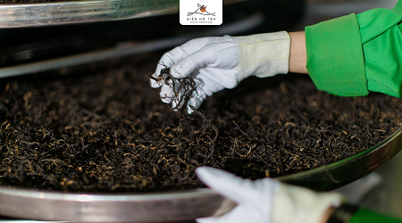 BÁO CÁO TÌNH HÌNH QUẢN TRỊ NĂM 2019