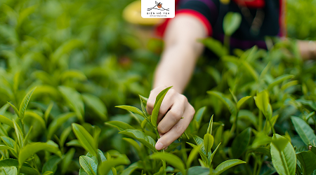 BÁO CÁO TÌNH HÌNH QUẢN TRỊ NĂM 2020