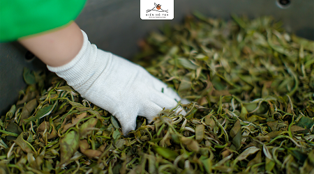 BÁO CÁO TÌNH HÌNH QUẢN TRỊ 6 THÁNG ĐẦU NĂM 2021