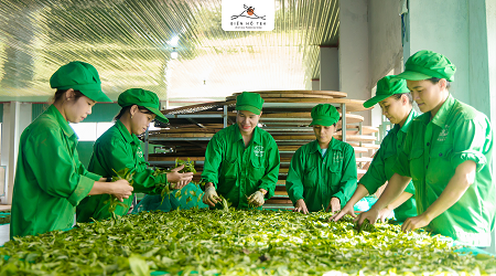 THÔNG BÁO VỀ VIỆC ĐĂNG KÝ GIAO DỊCH CỔ PHIẾU CÔNG TY CỔ PHẦN CHÈ BIỂN HỒ TẠI SỞ GIAO DỊCH CHỨNG KHOÁN HÀ NỘI