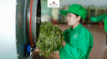 NGHỊ QUYẾT HĐQT V/V THÔNG QUA PHƯƠNG ÁN SỬ DỤNG VỐN CHI TIẾT THU ĐƯỢC TỪ ĐỢT CHÀO BÁN CHỨNG KHOÁN RA CÔNG CHÚNG THEO NỘI DUNG NGHỊ QUYẾT ĐHĐCĐ THƯỜNG NIÊN NĂM 2019 SỐ 06/NQ-BHG-ĐHĐCĐ NGÀY 13/04/2019