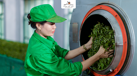 NGHỊ QUYẾT HĐQT V/V THÔNG QUA VIỆC TRIỂN KHAI VÀ HỒ SƠ ĐĂNG KÝ CHÀO BÁN CỔ PHẦN RA CÔNG CHÚNG