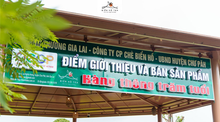 VỀ VIỆC GIA HẠN THỜI GIAN TỔ CHỨC ĐẠI HỘI ĐỒNG CỔ ĐÔNG THƯỜNG NIÊN NĂM 2020