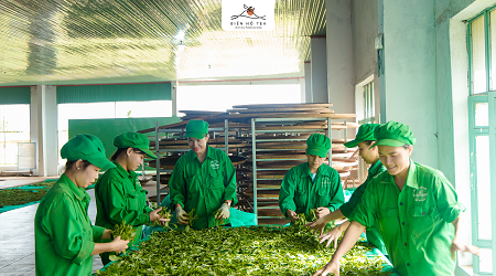 THÔNG BÁO VỀ VIỆC THAY ĐỔI NGƯỜI ĐIỀU HÀNH CÔNG TY CỔ PHẦN CHÈ BIỂN HỒ