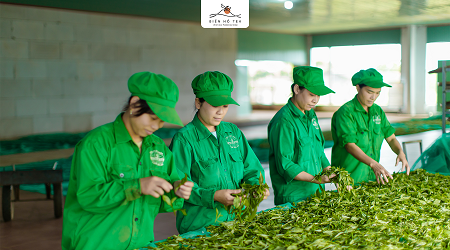 BÁO CÁO KẾT QUẢ GIAO DỊCH CỦA NGƯỜI NỘI BỘ