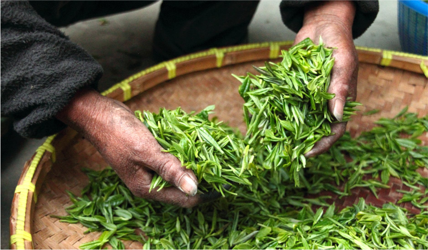 Trà có thể giúp bạn duy trì động lực trong mùa đông này như thế nào